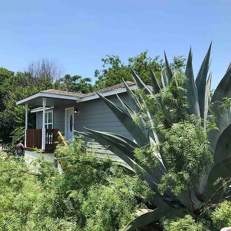 Downtown Contemporary Yet Cozy Fun Villa San Antonio Exterior foto