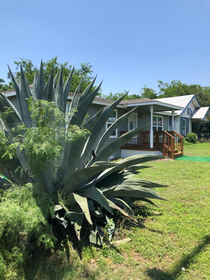 Downtown Contemporary Yet Cozy Fun Villa San Antonio Exterior foto
